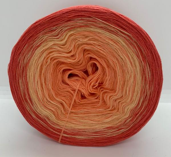 Superschnäppchen 38